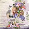 layout for Bloom and Grow