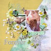 layout for forever