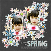 Spring Leaves 03 | Templates