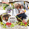 Something Wonderful | Collection, Rose Garden 01 | Templates