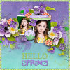 layout for spring to life