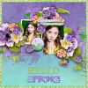 layout for SpringToLife