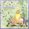 layout for SpringToLife