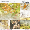 PBP-SensingAutumn-artpp