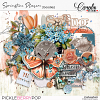 PBP-SpringtimePleasure-goodies