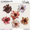 PBP-cw-CU-silk-flower-1