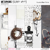 Metaphors: Birds Nest - artpapers incl. layered files