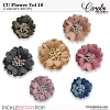 cwd-CU-Flower-Vol10