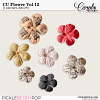 cwd-CU-Flower-Vol12