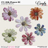 PBP-cw-CU-silk-flower-2