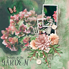 Dandelion Dust Designs