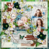 PBP-carol-CaptureTheBeautyOfSpring-layout-julie