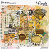 PBP-cwd-FullOfLife-artsy