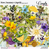 PBP-cwd-NewJourney_April_ele