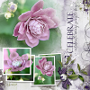 Happy Memories Album