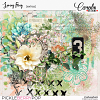 PBP-SpringFling-extra