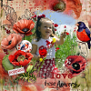 by janik