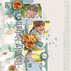 Feels Like June | Collection