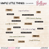 SIMPLE LITTLE THINGS | journal bits by Bellisae
