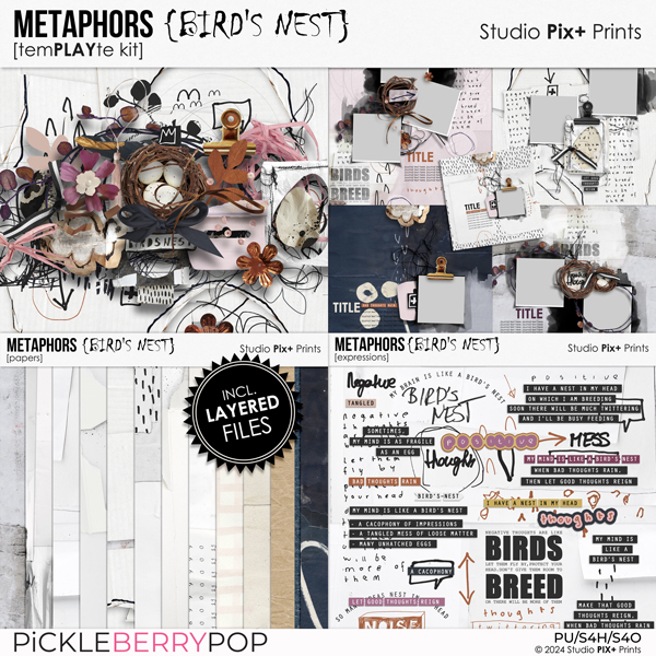 Metaphors: Bird's Nest - temPLAYte kit