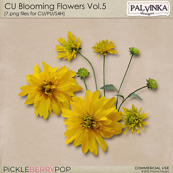 CU Blooming Flowers Vol.5