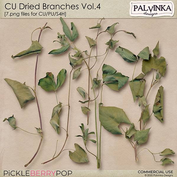 CU Dried Branches Vol.4 