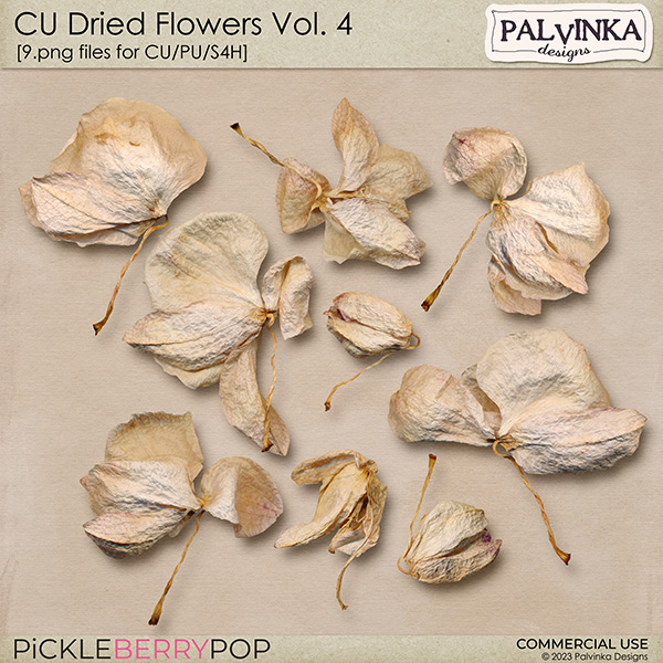 CU Dried Flowers 4