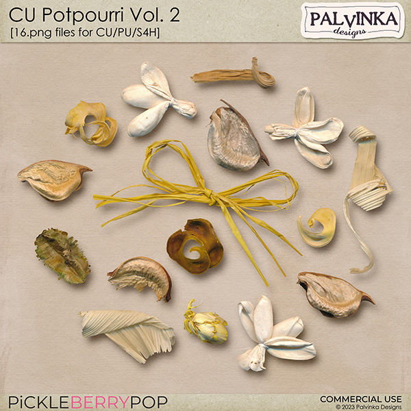 CU Potpourri 2