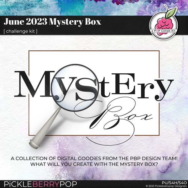 June 2023 Mystery Box 