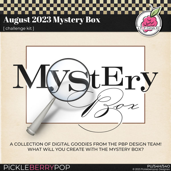 August 2023 Mystery Box