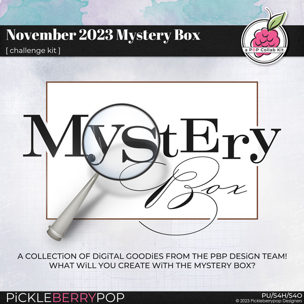 November 2023 Mystery Box