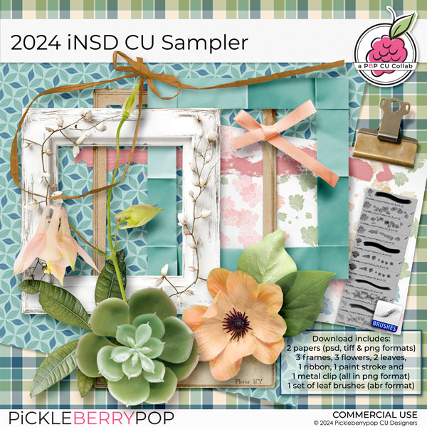 2024 iNSD CU Sampler