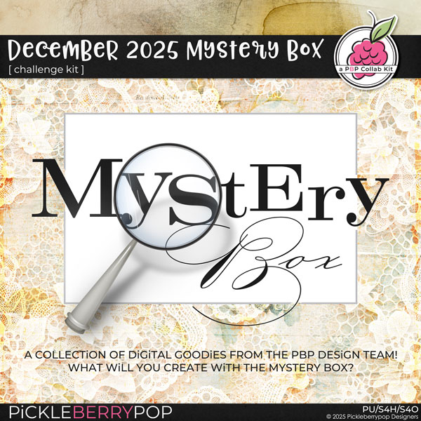 December 2025 Mystery Box