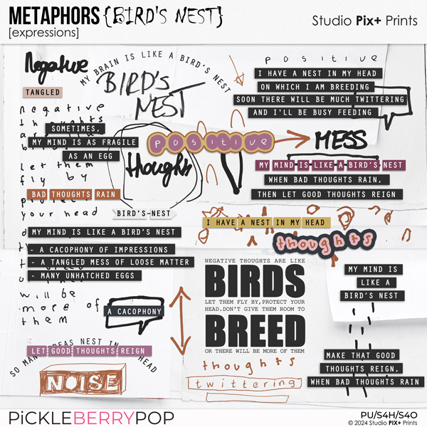 Metaphors: Bird's Nest - expressions