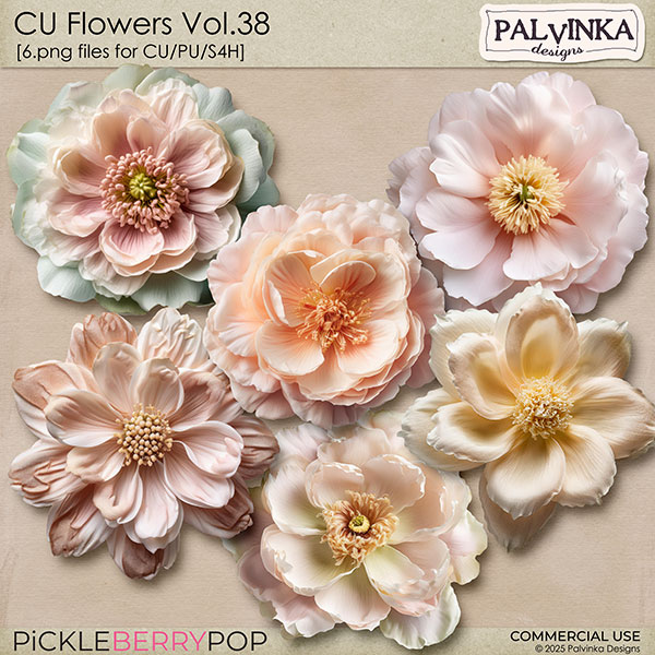 CU Flowers 38