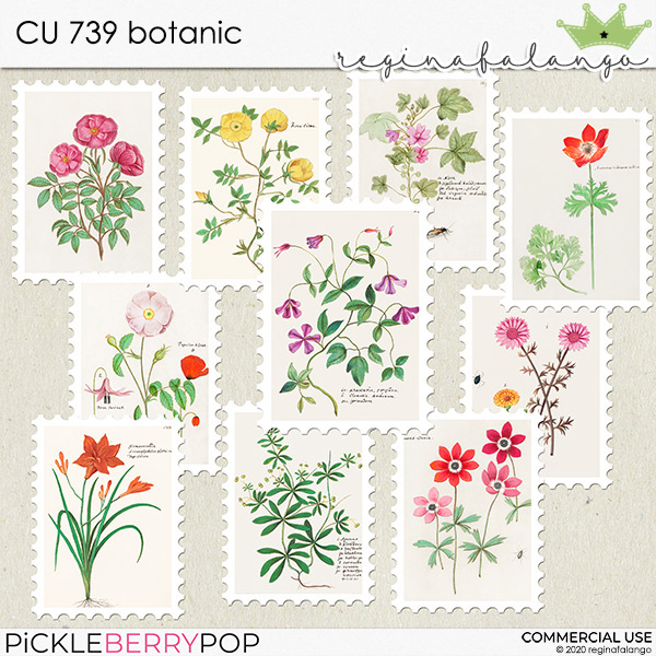 CU 739 BOTANIC