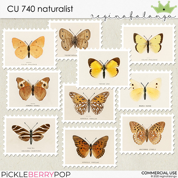 CU 740 NATURALIST