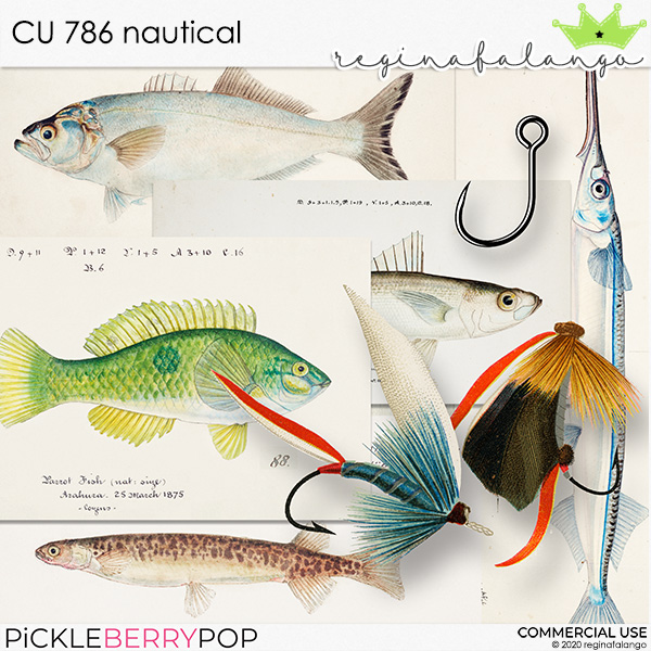 CU 786 NAUTICAL