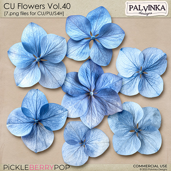 CU Flowers 40