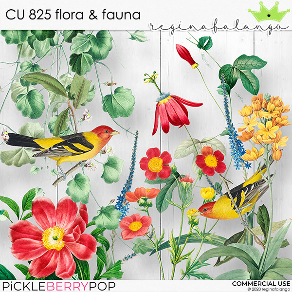 CU 825 FLORA & FAUNA