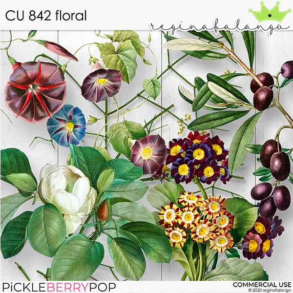 CU 842 FLORAL