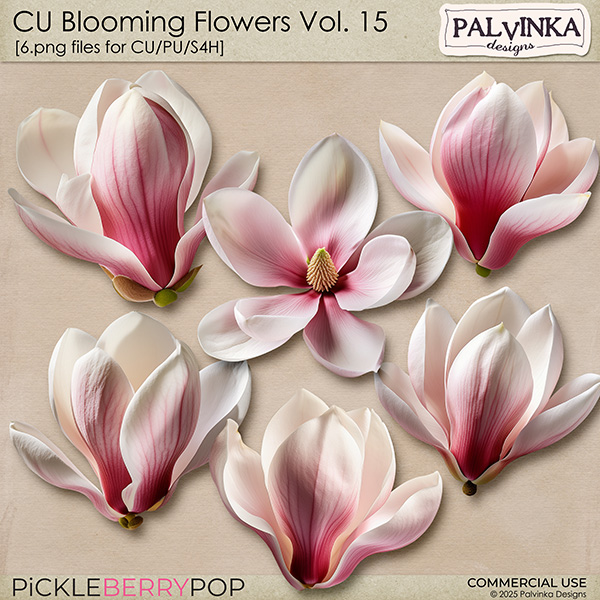 CU Blooming Flowers 15
