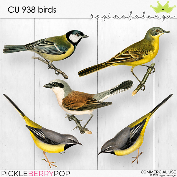 CU 938 BIRDS 