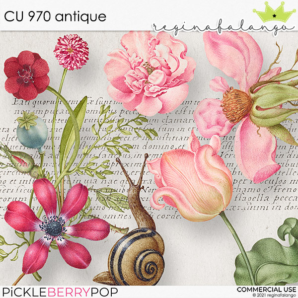 CU 970 ANTIQUE