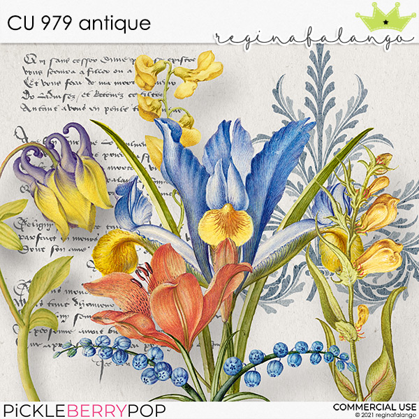 CU 979 ANTIQUE