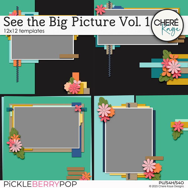 See The Big Picture Volume 1 Templates