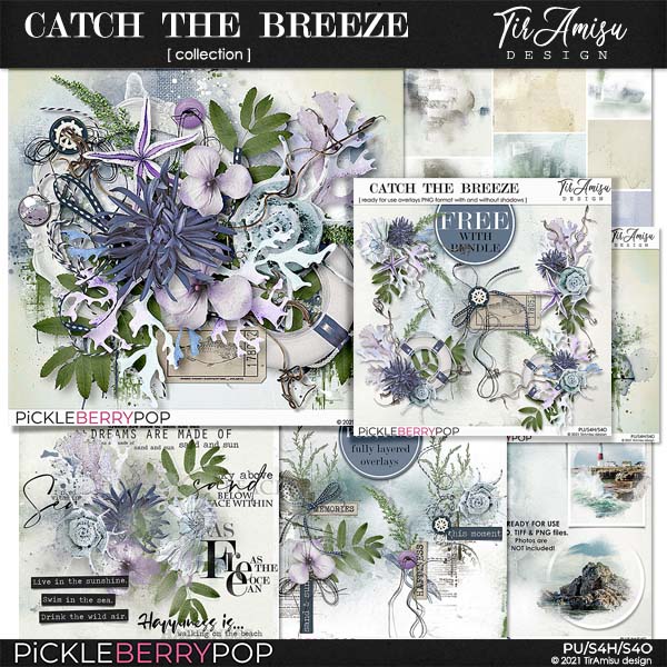 Catch The Breeze ~ Bundle Plus Free Gift 