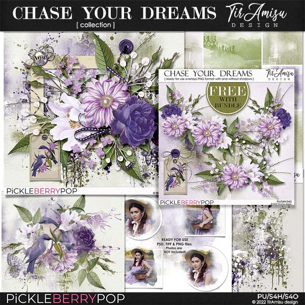 Chase Your Dreams Bundle Plus Free Gift