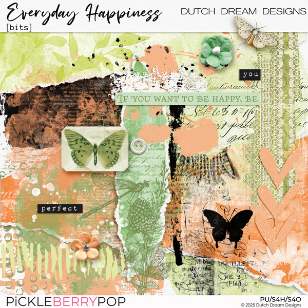 Everyday Happiness - Bits