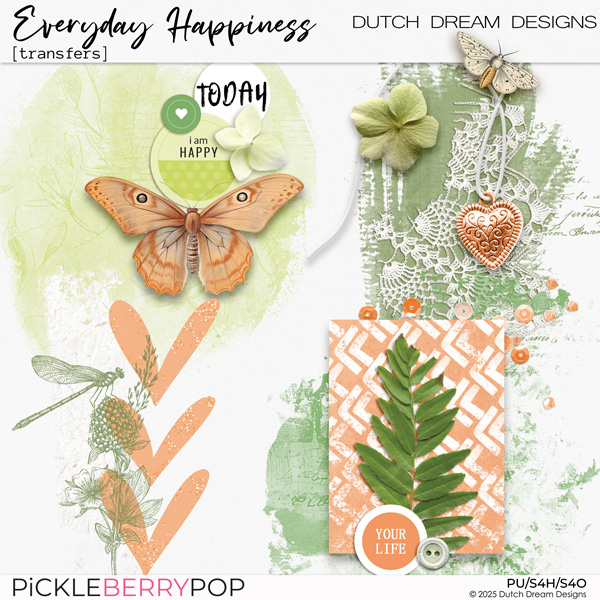 Everyday Happiness - Transfers